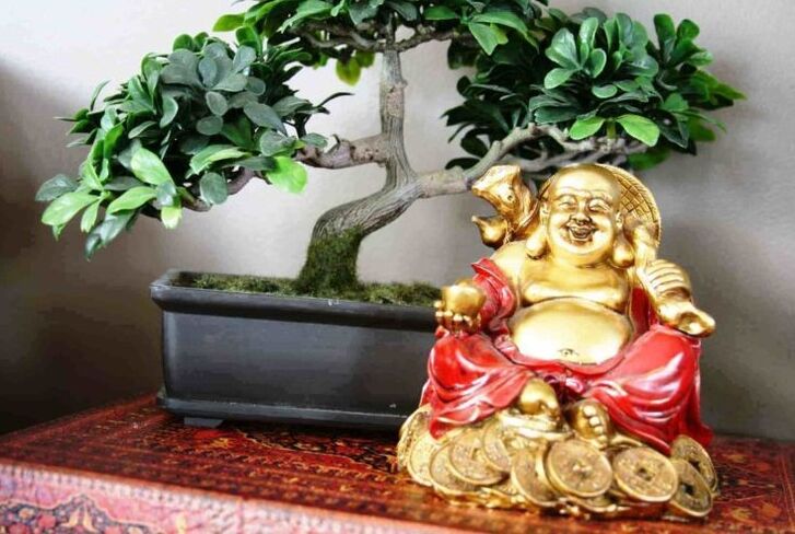 Zoriona eta oparotasuna etxean Feng Shui-ren arabera